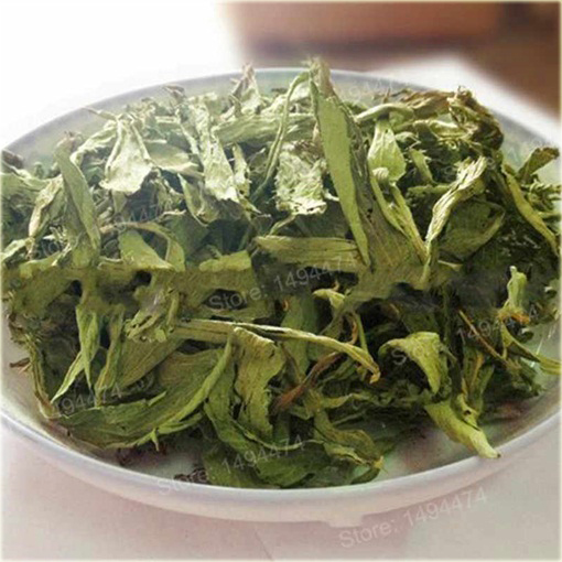 Stewia zdrowszy zamiennik cukru