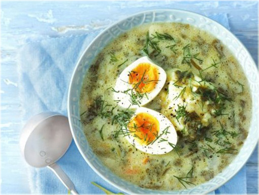 Szczaw jadalny ogrodowy na zupę szczawiową