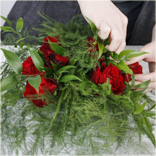 Szparag pierzasty, asparagus, paprotka domowa z Kenii Afryka