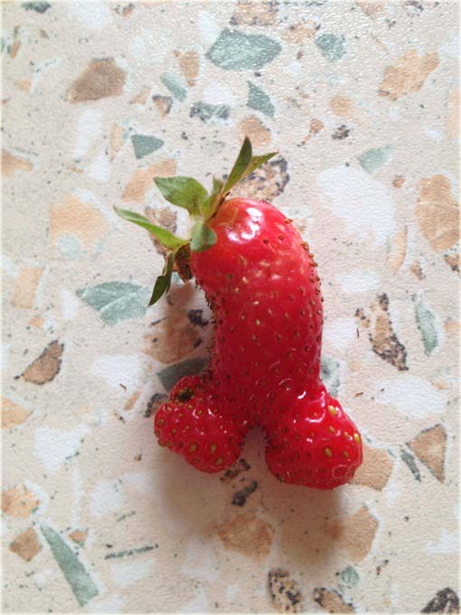 Truskawka czerwony penis