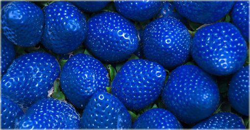 Truskawka niebieska HIT LATA!