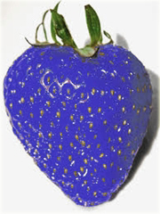 Truskawka niebieska HIT LATA!