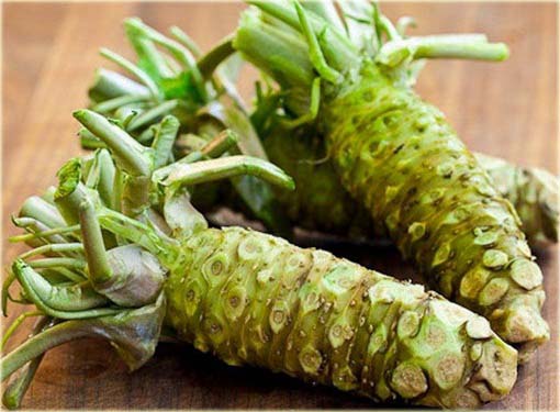 Wasabi, chrzan japoński