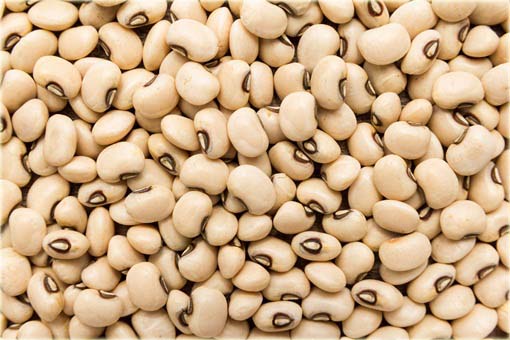 Wspięga Wężowata, Kowpea jadalna