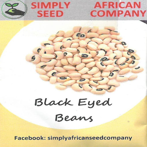 Fasola Black Eyed Beans, Phaseolus coccineus, Sugar Beans