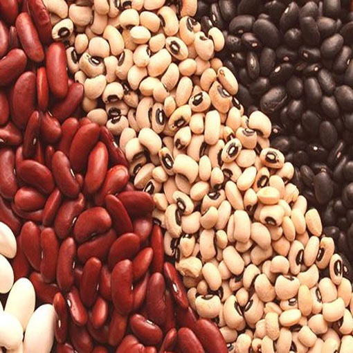 Fasola Black Eyed Beans, Phaseolus coccineus, Sugar Beans