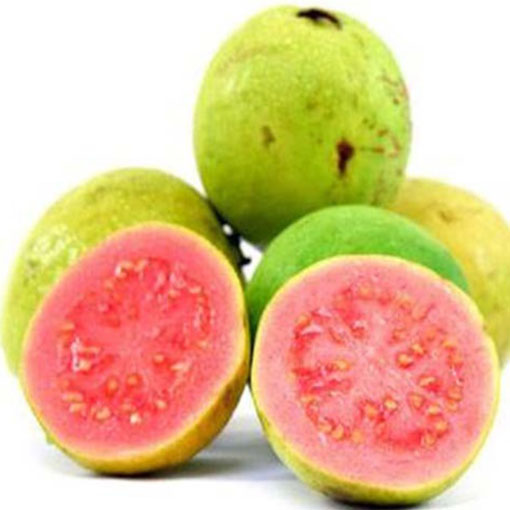 Gujawa pospolita Guava, Psidium guajava