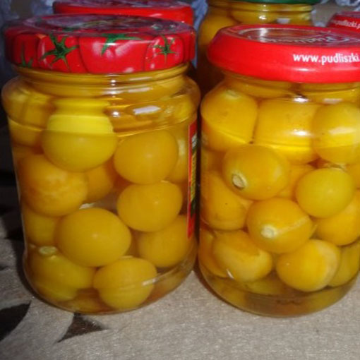 Miechunka peruwiańska gooseberry,Physalis peruviana