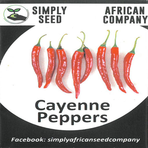 Papryka Cayenne Peppers b.ostra, Capsicum annuum