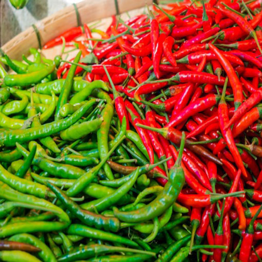 Papryka Cayenne Peppers b.ostra, Capsicum annuum