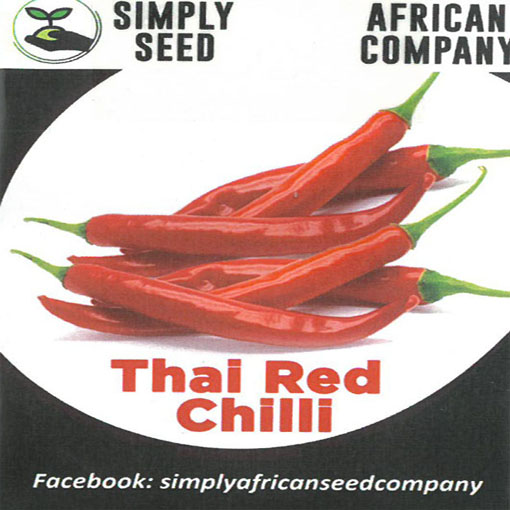 Papryka Thai Red Chilli ostra, Capsicum annuum