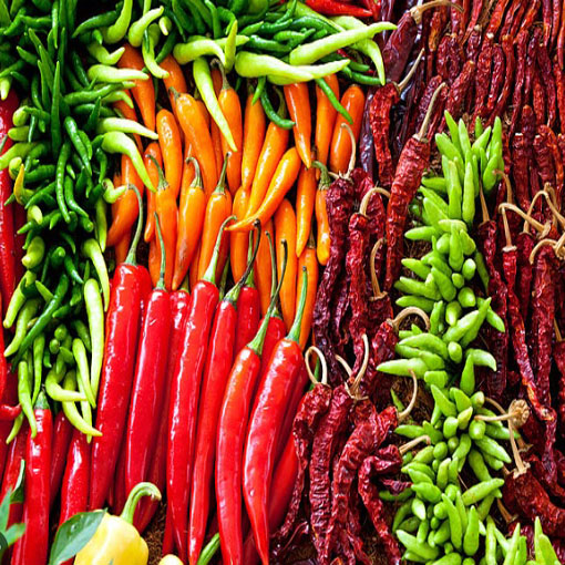 Papryka Thai Red Chilli ostra, Capsicum annuum