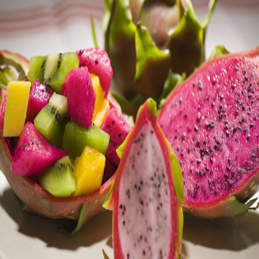 Smoczy owoc Pitaja Dragon fruit, Pitahaya, Hylocereus undatus