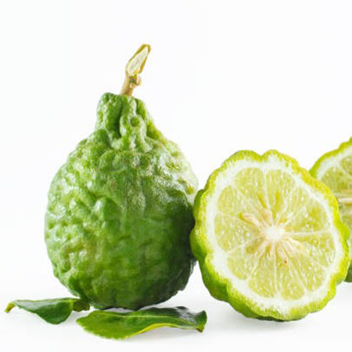 Limonka Kaffir, papeda, Citrus histrix