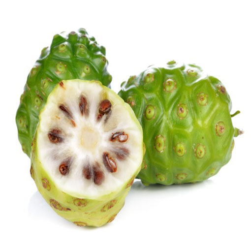 Morwa indyjska, Morinda citrifolia