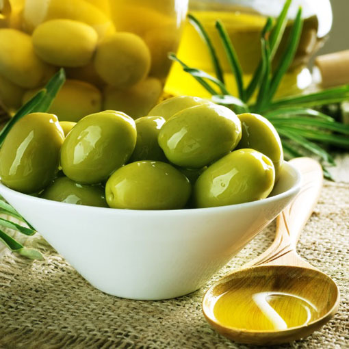 Oliwka europejska, Olea europea