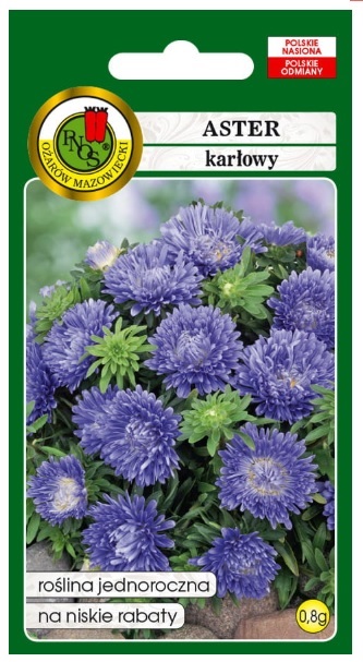 Aster karłowy Turkus to roślina obficie kwitnąca, o kwiatach średnicy 3-4cm. Astry są jednymi z najważniejszych jesiennych kwiatów.