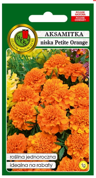 Aksamitka pełna Petite orange - nasiona kwiatów jest rośliną jednoroczną o pełnych kwiatach koloru pomarańczowego średnicy około 2,5-3 cm. Osiąga wysokość do 25 cm.