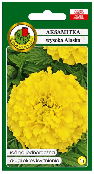Aksamitka pełna wysoka Alaska cytrynowa to roślina jednoroczna, doskonała na rabaty, obwódki, kwietniki, balkony.