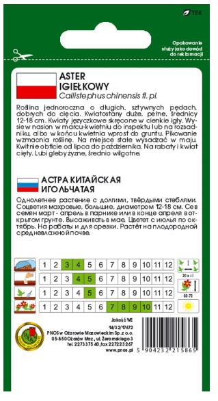 Aster igiełkowy Warszawskie Lila - nasiona kwiatów