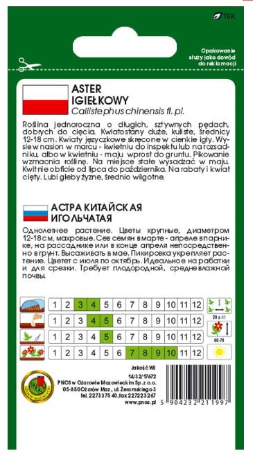 Aster igiełkowy różowy - nasiona kwiatów