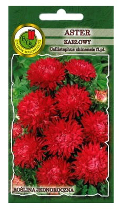 Aster karłowy czerwony to roślina obficie kwitnąca, o kwiatach średnicy 3-4cm. Astry są jednymi z najważniejszych jesiennych kwiatów.