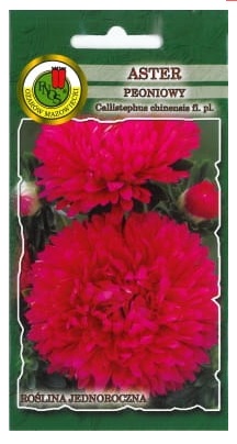 Aster peoniowy różowopurpurowy charakteryzuje się pokrojem zwartym lub pół rozpierzchłym. Ma sztywne proste pędy zakończone pełnymi prawie kulistymi kwiatostanami.