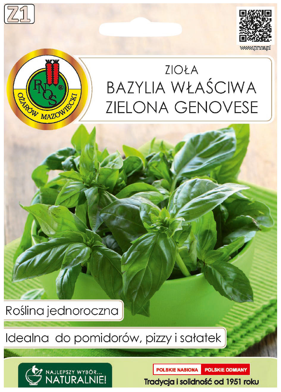 Bazylia właściwa Genovese to oślina jednoroczna, uprawiana z rozsady lub z siewu wprost do gruntu nawet na domowym parapecie.