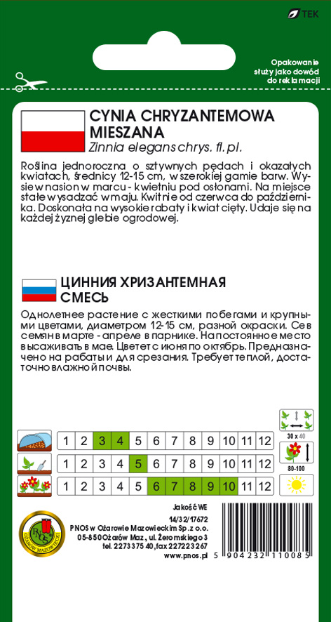 Cynia chryzantemowa Glamour - nasiona kwiatów