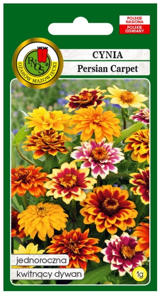 Cynia wąskolistna (Persian Carpet) ma wzniesione, rozgałęzione łodygi, które są sztywne, ale bardzo kruche. 