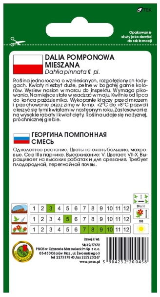 Dalia pomponowa mix - nasiona kwiatów nie należą do roślin trudnych w uprawie, warto jednak trochę się postarać, aby móc w pełni wyeksponować ich urodę.