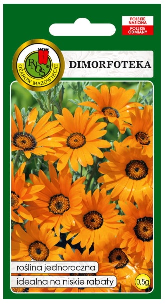 Dimorfoteka Tetra Goliath to roślina o jaskrawych kwiatach z aksamitnym połyskiem, zamykających się w dni pochmurne i w nocy.