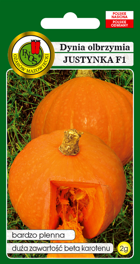 Dynia olbrzymia Justynka wspaniała odmiana mieszańcowa zawierająca najwięcej ze wszystkich odmian suchej masy (10-12%) i beta-karotenu (8-12mg/100g).