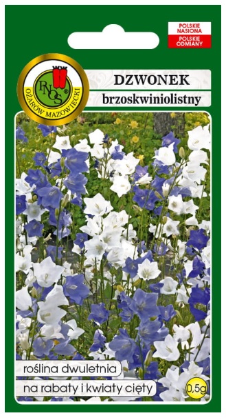 Dzwonek brzoskwiniolistny Campanula persicifolia z rodziny dzwonkowatych (Campanulaceae) jest wieloletnią byliną ze sztywnymi prostymi łodygami zakończonymi białymi kwiatami zebranymi w grono.