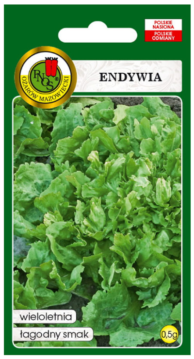 Endywia kędzierzawa de meaux Liście ciemnozielone, mocno fryzowane, postrzępione.