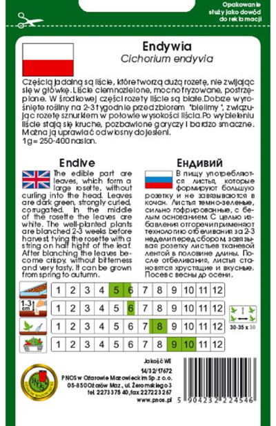 Endywia kędzierzawa de meaux można ją uprawiać od wiosny do jesieni.