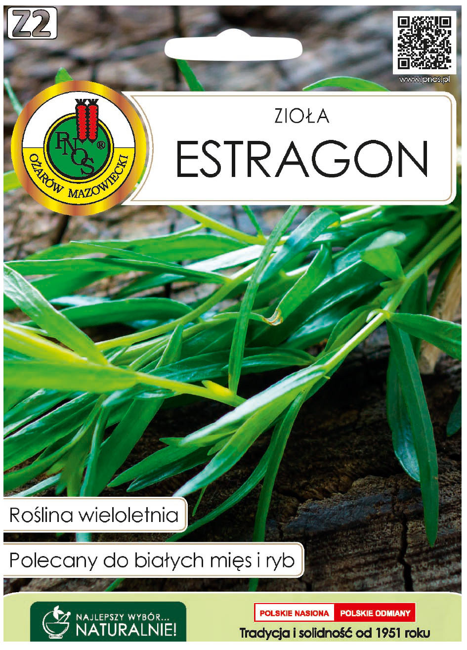 Estragon bylica draganek jest to wieloletnia bylina o częściowo zdrewniałej łodydze, lekko zwisających, wąskich, lancetowatych liściach.
