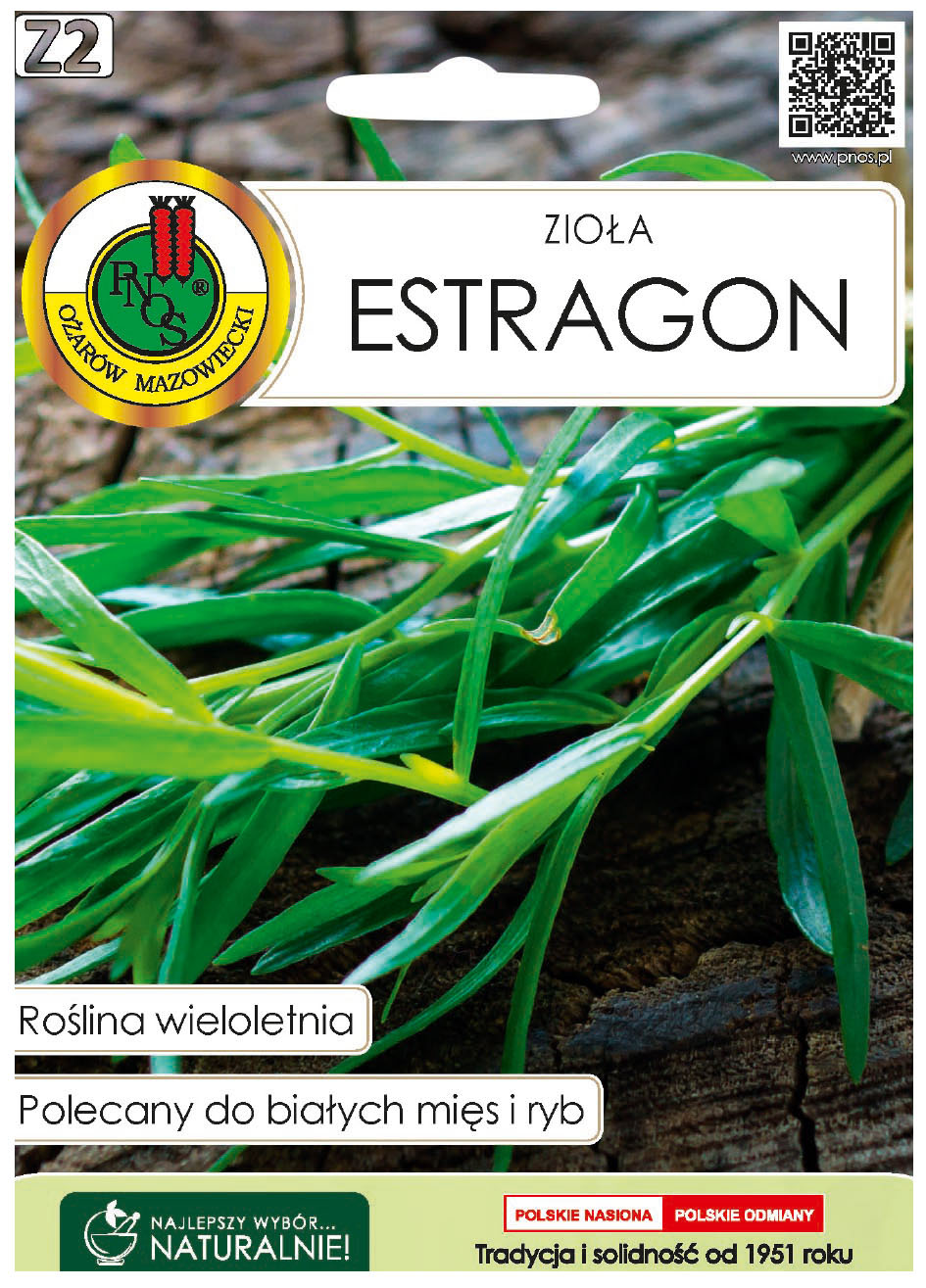 Estragont to wieloletnia bylina o częściowo zdrewniałej łodydze, lekko zwisających, wąskich, lancetowatych liściach. 