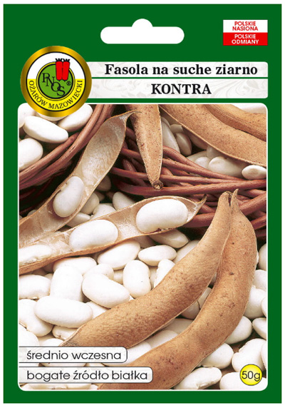 Fasola na suche nas Kontra odmiana średnio wczesna Fasola karłowa, biczykowa.