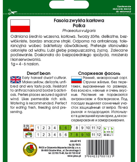 Fasola szparag żółta Polka dmiana bardzo plenna, polecana do bezpośredniego spożycia.