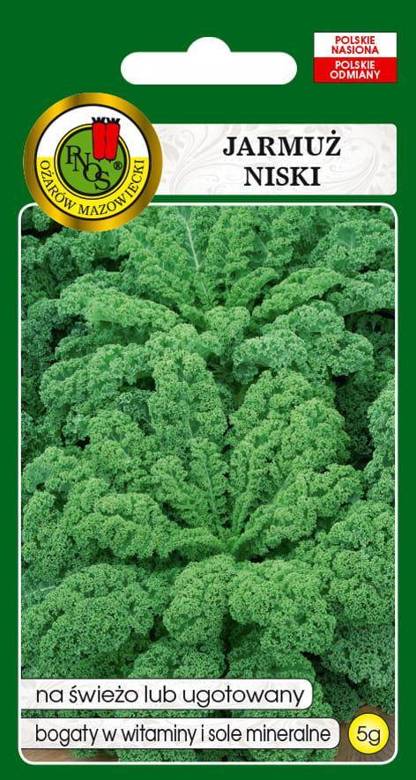 Jarmuż niski Dwarf Green Curled to warzywo liściaste zawierające dużo witamin A i C oraz wapń, fosfor i żelazo.