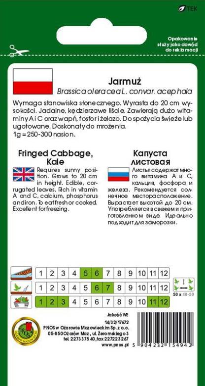 Jarmuż niski Dwarf Green Curled. Spożywa się liście świeże lub gotowane jak szpinak.