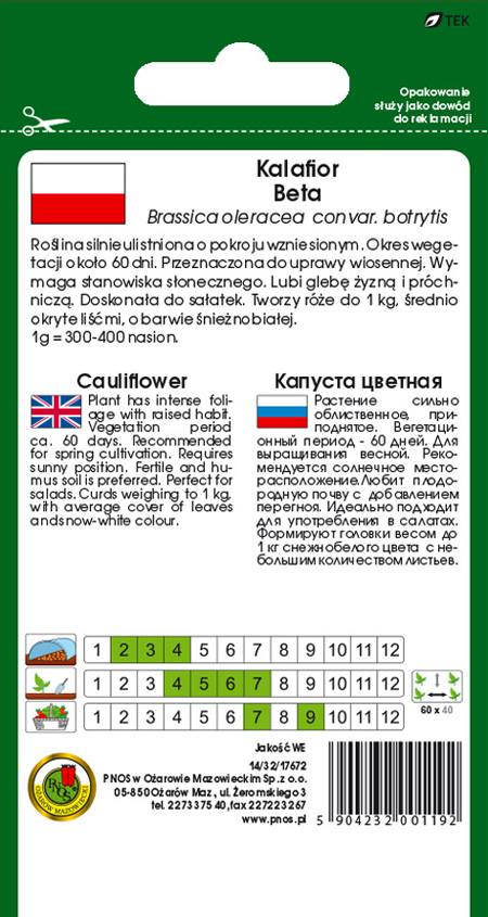 Kalafior Beta roślina silnie ulistniona o pokroju wzniesionym.