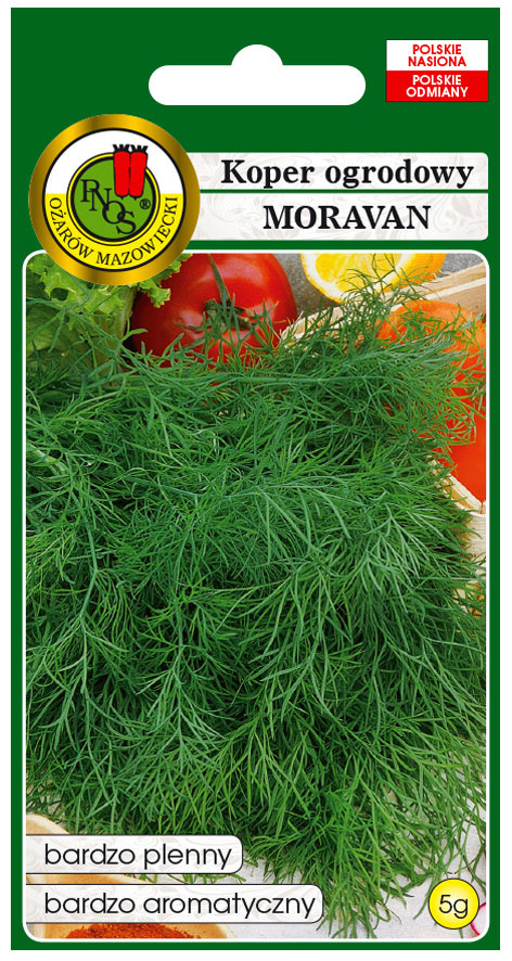 Koper ogrodowy Moravan to odmiana wczesna.