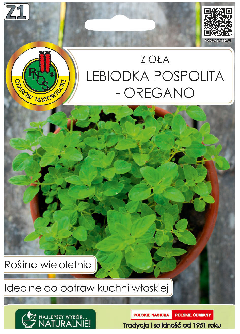 Lebiodka pospolita oregano to roślina wieloletnia, mrozoodporna, o pokładających się pędach.