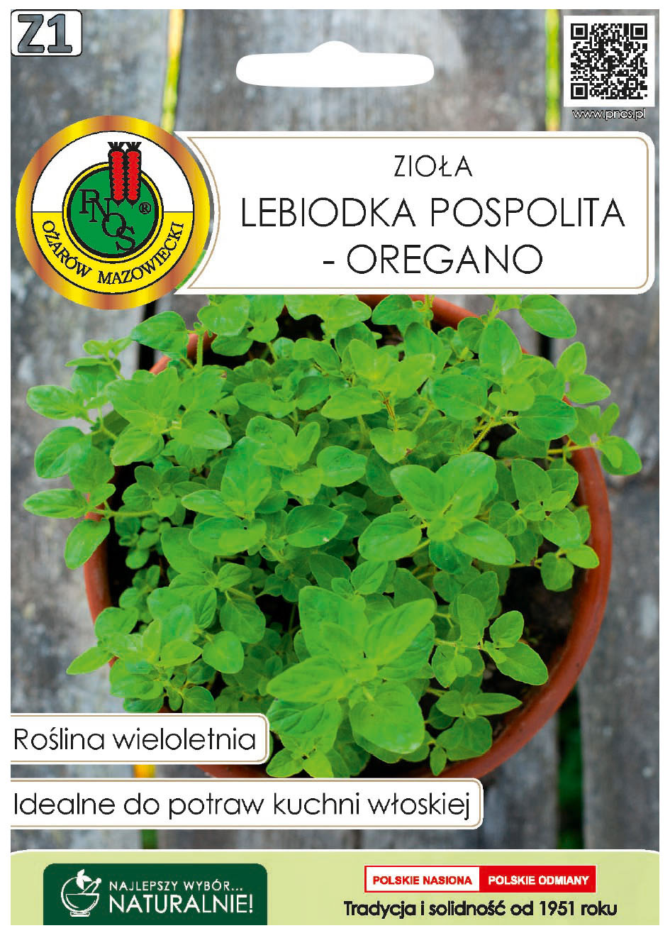 Lebiodka pospolita oregano to roślina wieloletnia, mrozoodporna, o pokładających się pędach.