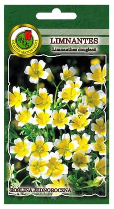 Limnanthes to delikatna roślina nisko ścieląca się, o pierzastych, błyszczących, jasnozielonych liściach i białożółtych, kubkowatych kwiatach.