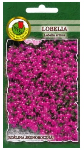 Lobelia stroiczka Rosamunda to roślina silnie rozkrzewiona o cienkich delikatnych łodygach i drobnych lancetowatych, ząbkowanych liściach.