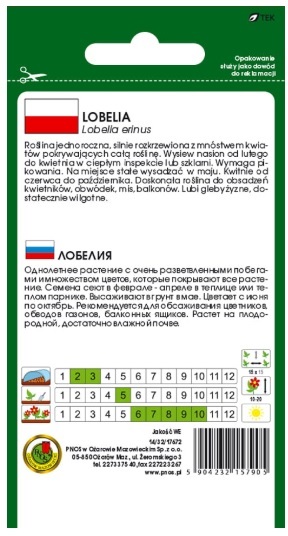 Lobelia stroiczka Rosamunda posiada długie pędy i drobne kwiaty osadzone na cienkich szypułkach. Lobelia kwitnie długo i obficie.