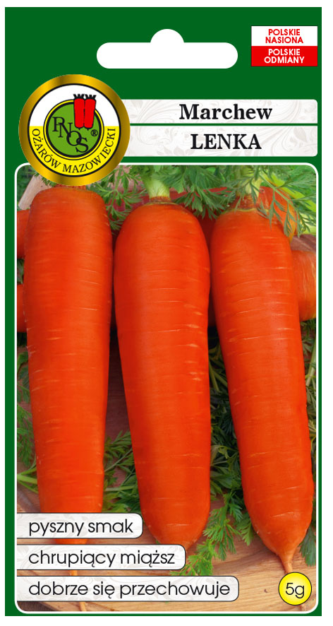 Marchew jadalna Lenka to odmiana średnio późna.